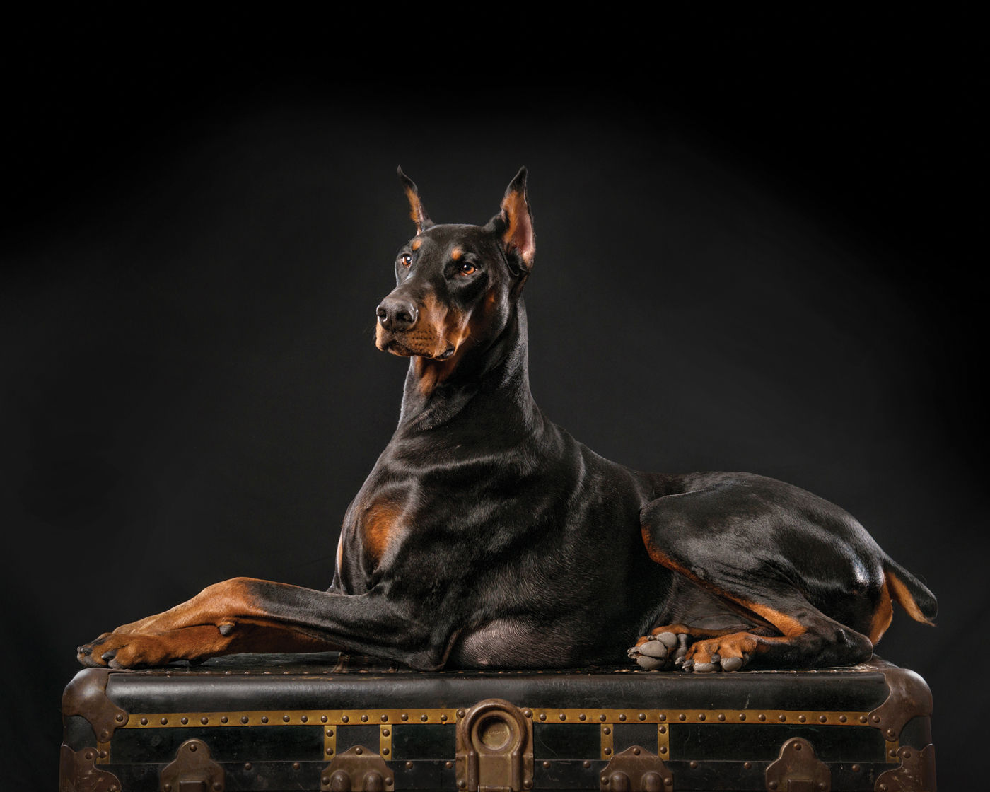 Zeus